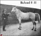 Buford L. F-11